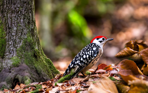 1756033 (a): :1920x1200